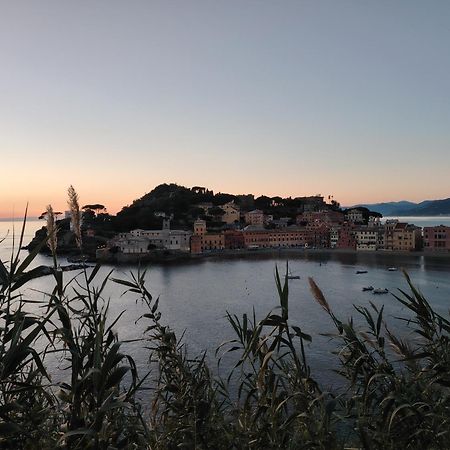 La Vie En Rose Flat Leilighet Sestri Levante Eksteriør bilde