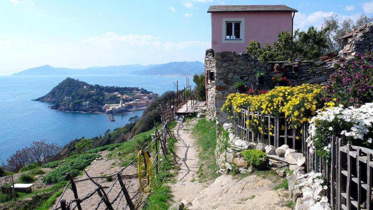 La Vie En Rose Flat Leilighet Sestri Levante Eksteriør bilde